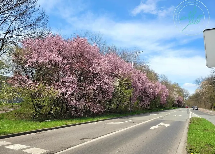 Parkowy Przy Stadionie Slaskim Katowice Appartement